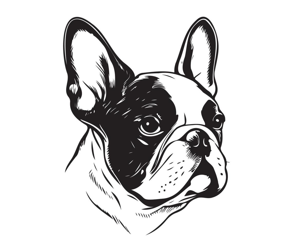 Frans bulldog gezicht, silhouet hond gezicht, zwart en wit Frans bulldog vector