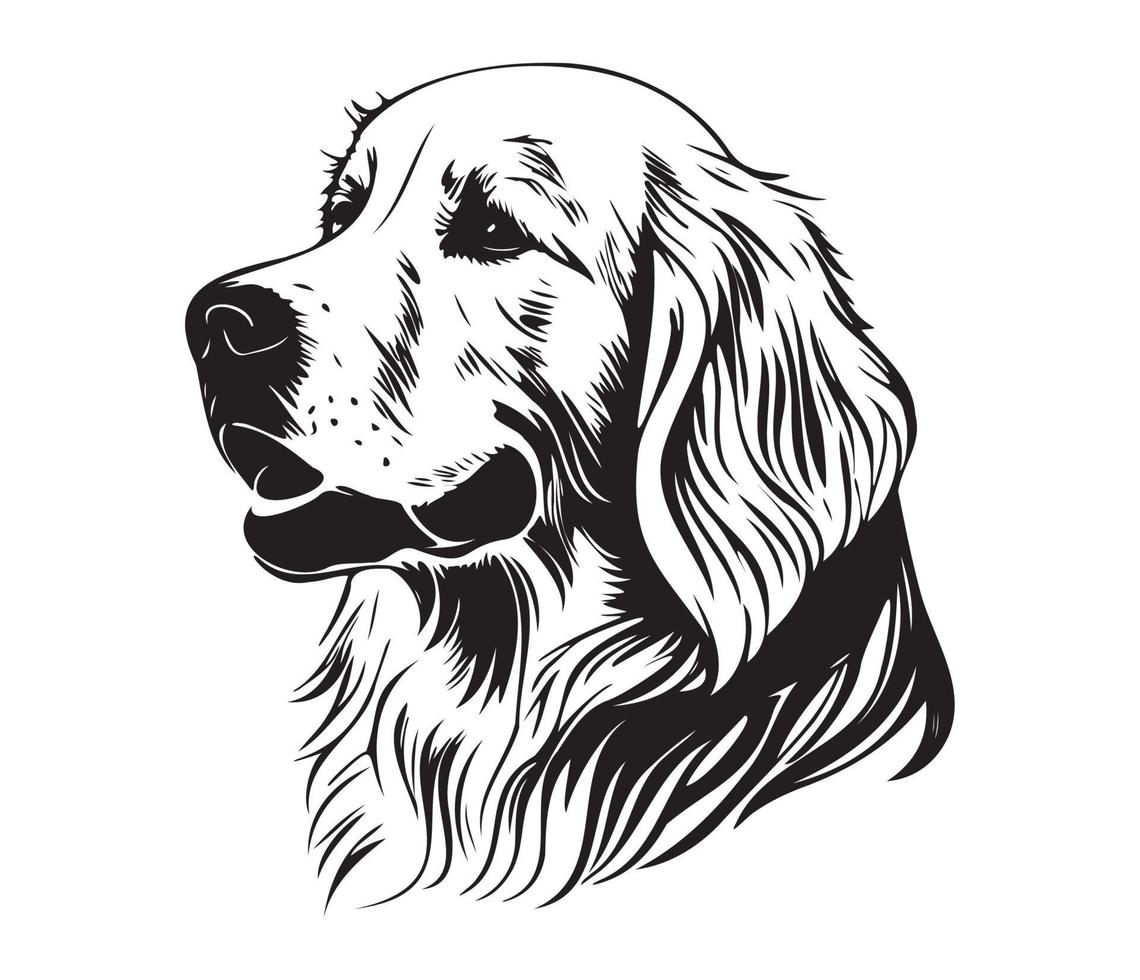 gouden retriever gezicht, silhouet hond gezicht, zwart en wit gouden retriever vector