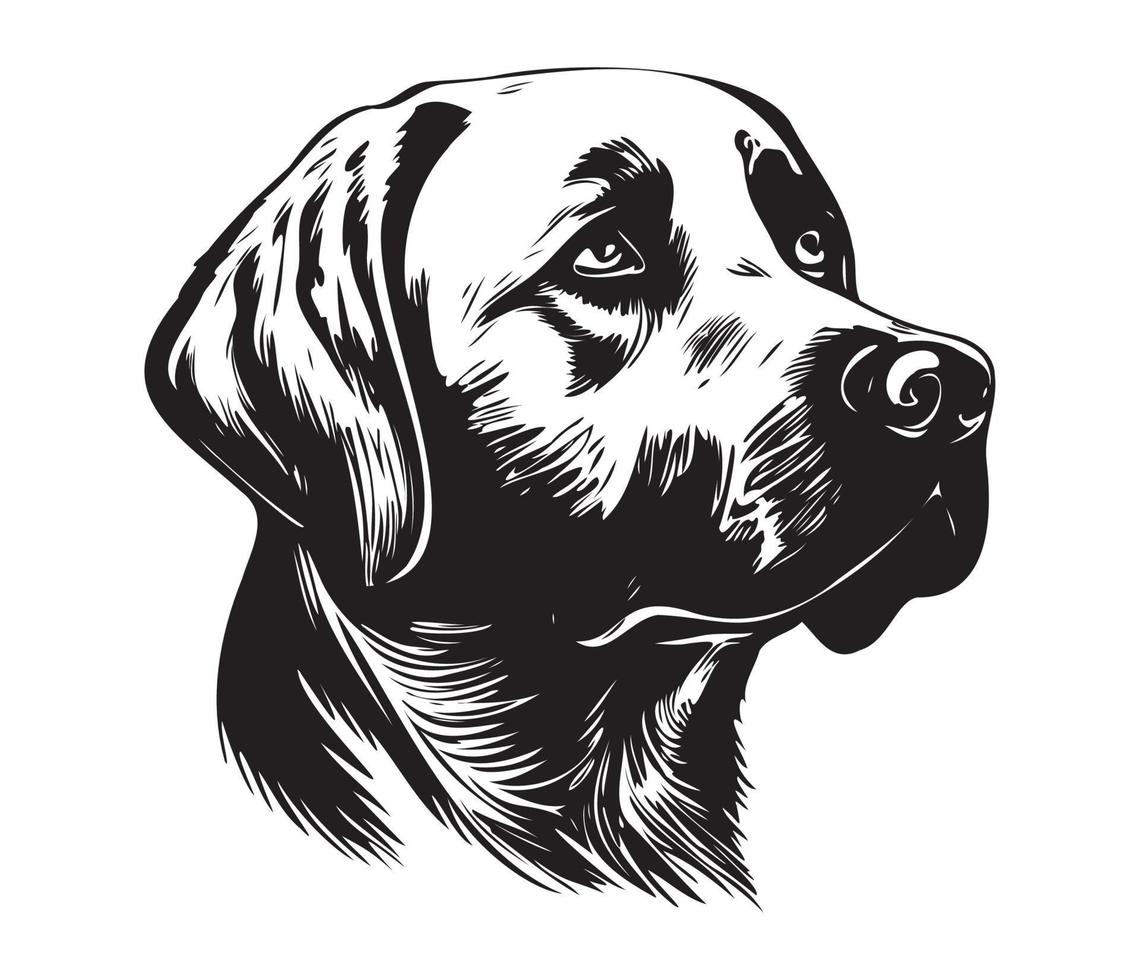 labrador retriever gezicht, silhouet hond gezicht, zwart en wit labrador retriever vector