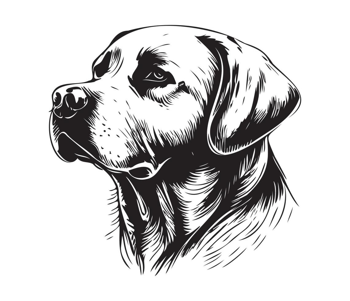 labrador retriever gezicht, silhouet hond gezicht, zwart en wit labrador retriever vector