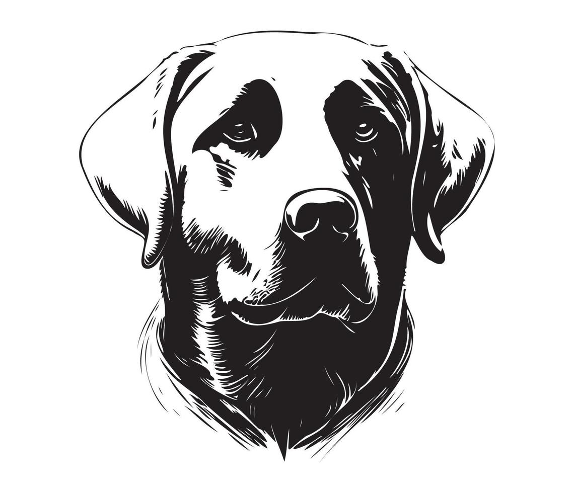 labrador retriever gezicht, silhouet hond gezicht, zwart en wit labrador retriever vector