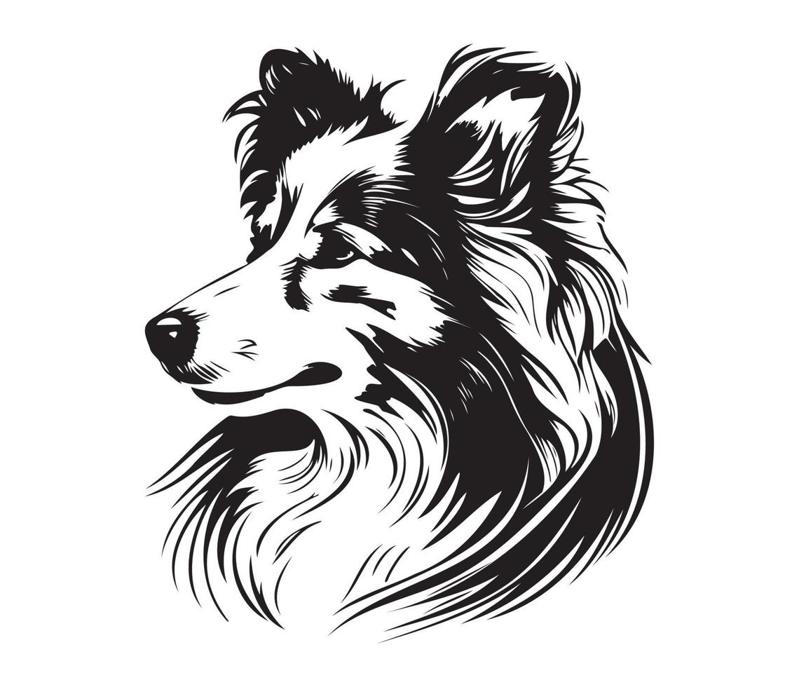 shetland herdershond gezicht, silhouet hond gezicht, zwart en wit shetland herdershond vector