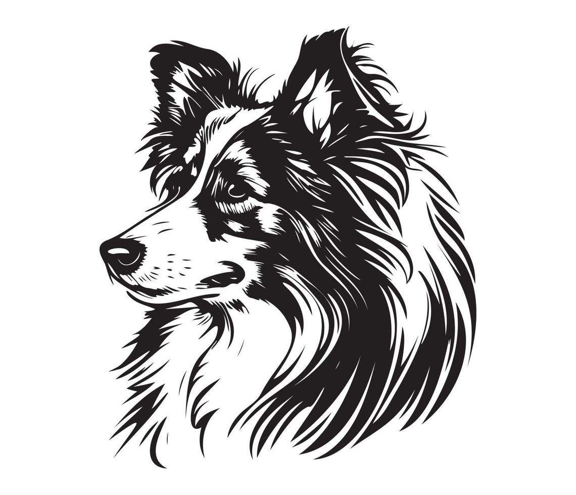shetland herdershond gezicht, silhouet hond gezicht, zwart en wit shetland herdershond vector