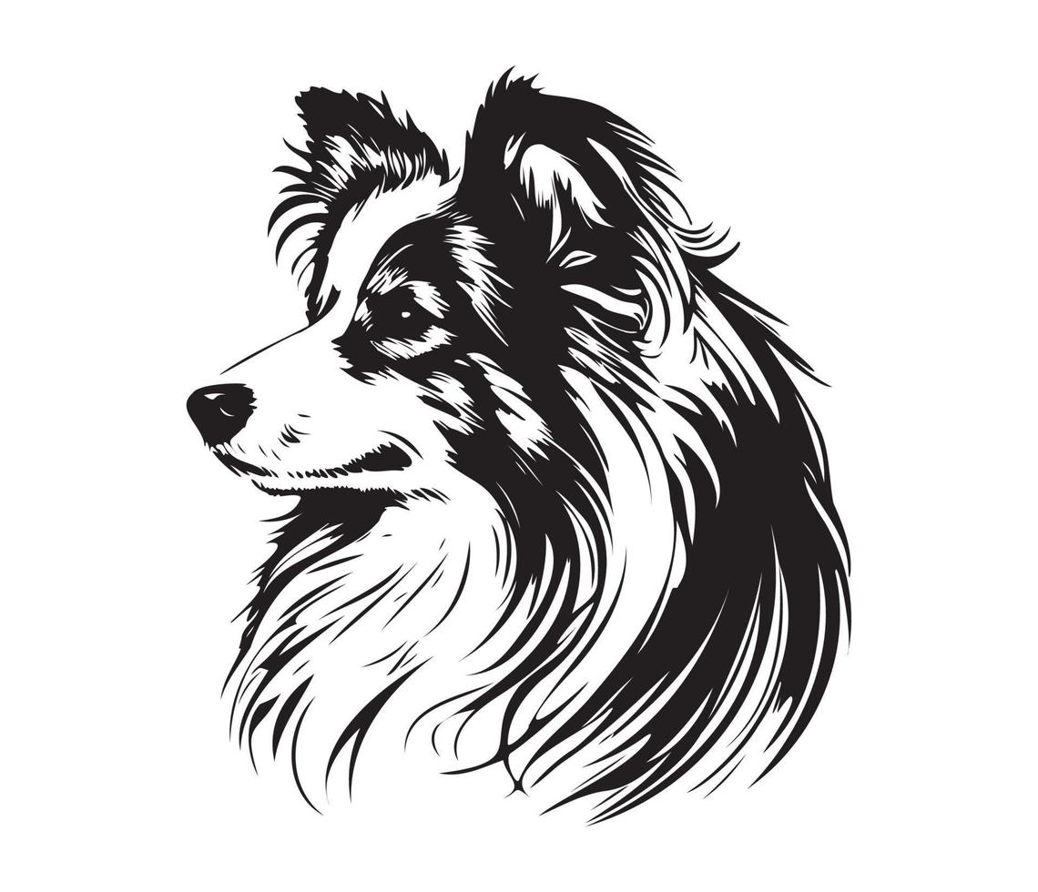 shetland herdershond gezicht, silhouet hond gezicht, zwart en wit shetland herdershond vector