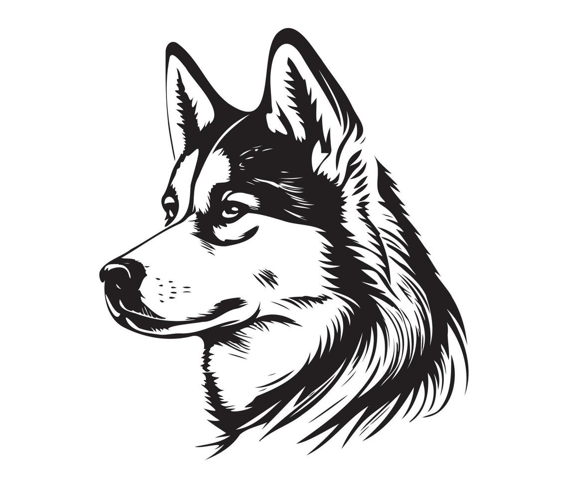 Siberisch schor gezicht, silhouet hond gezicht, zwart en wit Siberisch schor vector