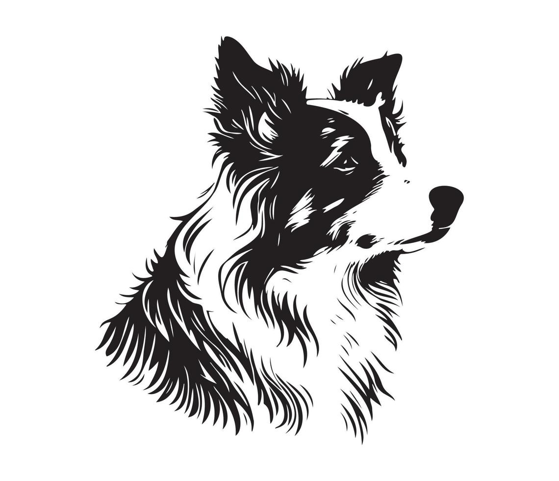 grens collie gezicht, silhouet hond gezicht, zwart en wit grens collie vector