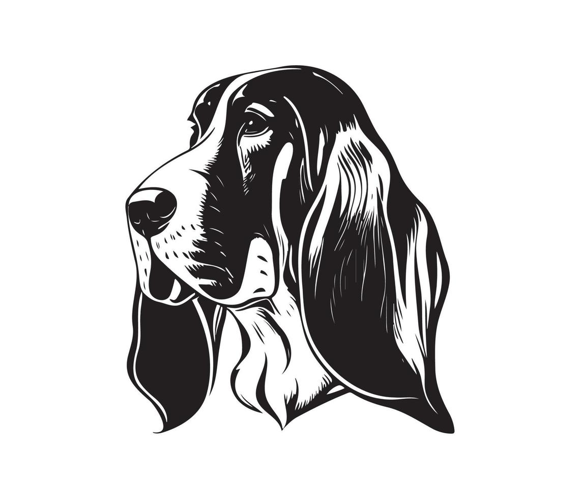 basset hond gezicht, silhouetten hond gezicht, zwart en wit basset hond vector