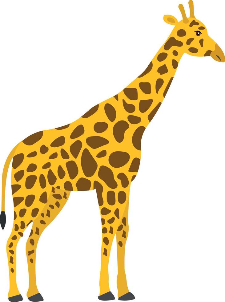 giraffe vector illustratie Aan een achtergrond.premium kwaliteit symbolen.vector pictogrammen voor concept en grafisch ontwerp.