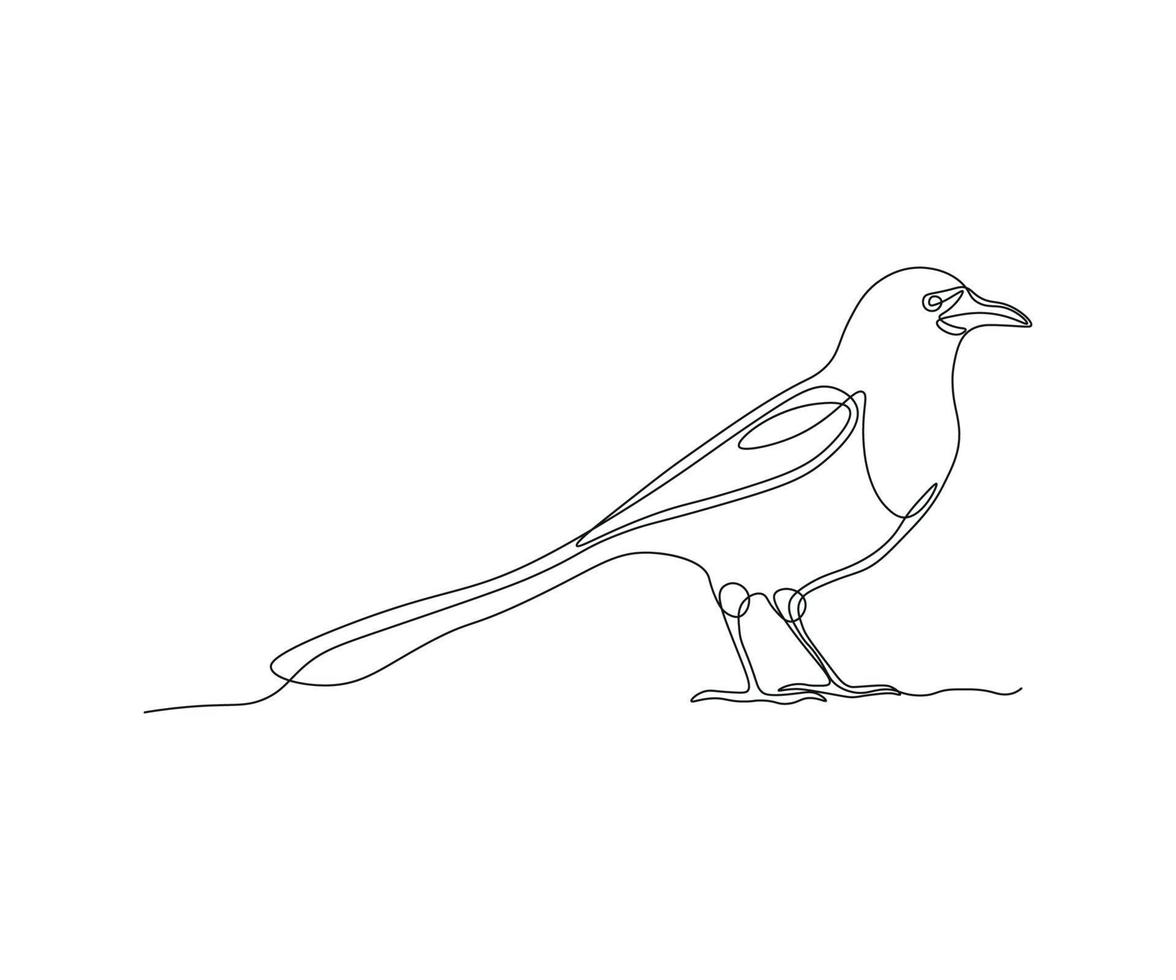 abstract ekster vogel doorlopend een lijn tekening vector