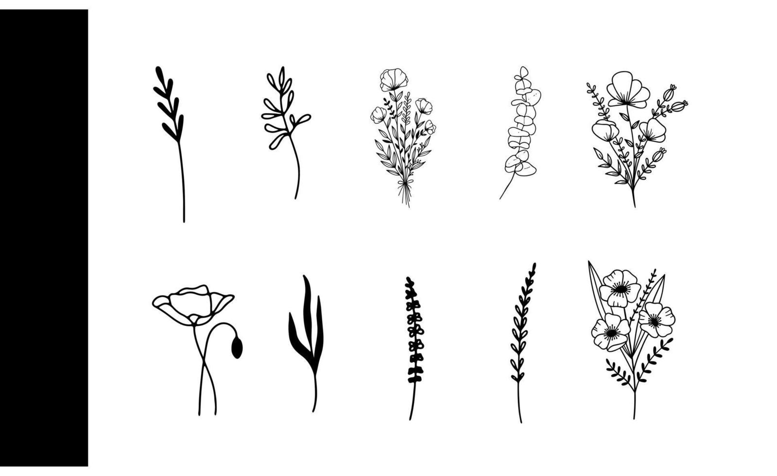 wild en grillig botanisch schetsen een veelzijdig reeks van hand getekend elementen voor creatief ontwerpen en decoraties vector