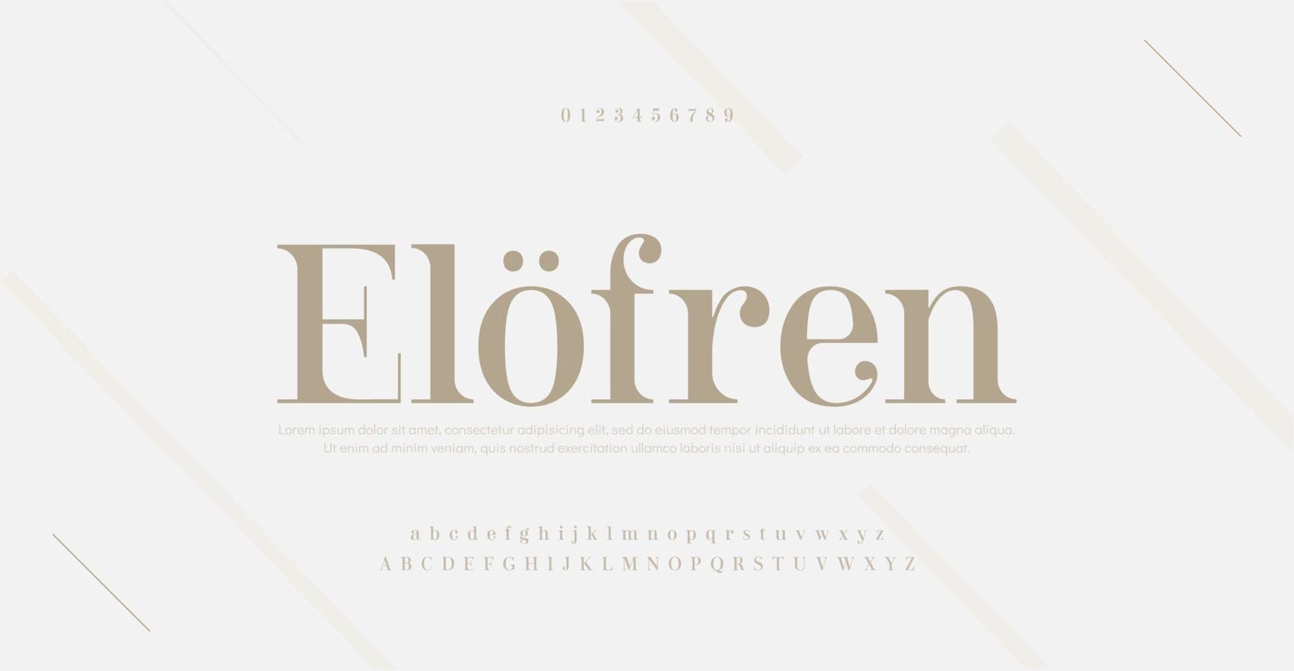 elegante moderne alfabet letters lettertype en nummer. klassieke belettering minimale modeontwerpen. typografie serif-lettertypen regelmatig decoratief vintage concept. vector