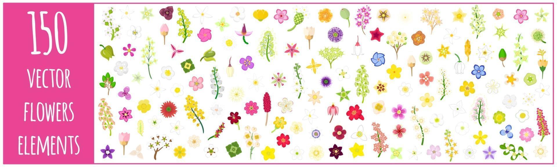 vector tekenfilm reeks illustraties met verschillende kleurrijke bloemen
