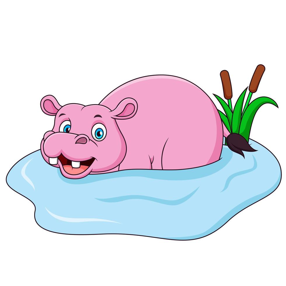 schattig nijlpaard tekenfilm in de water. vector illustratie