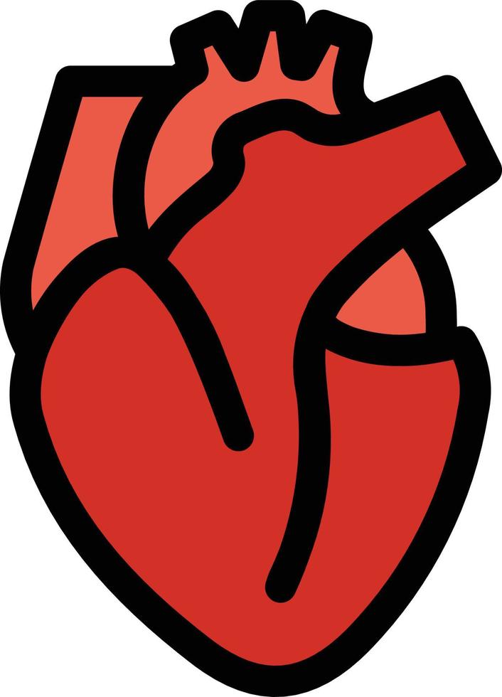 anatomisch hart illustratie vector