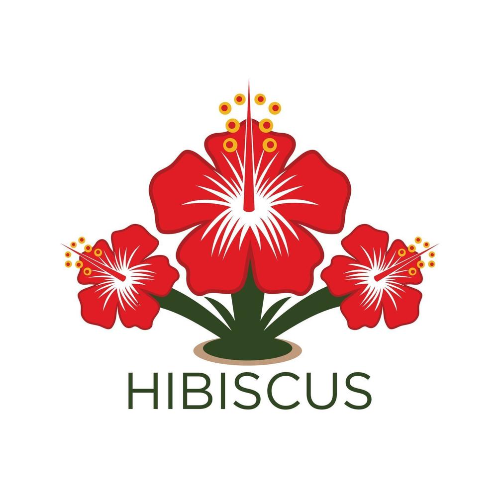 hibiscus bloem ontwerp vector