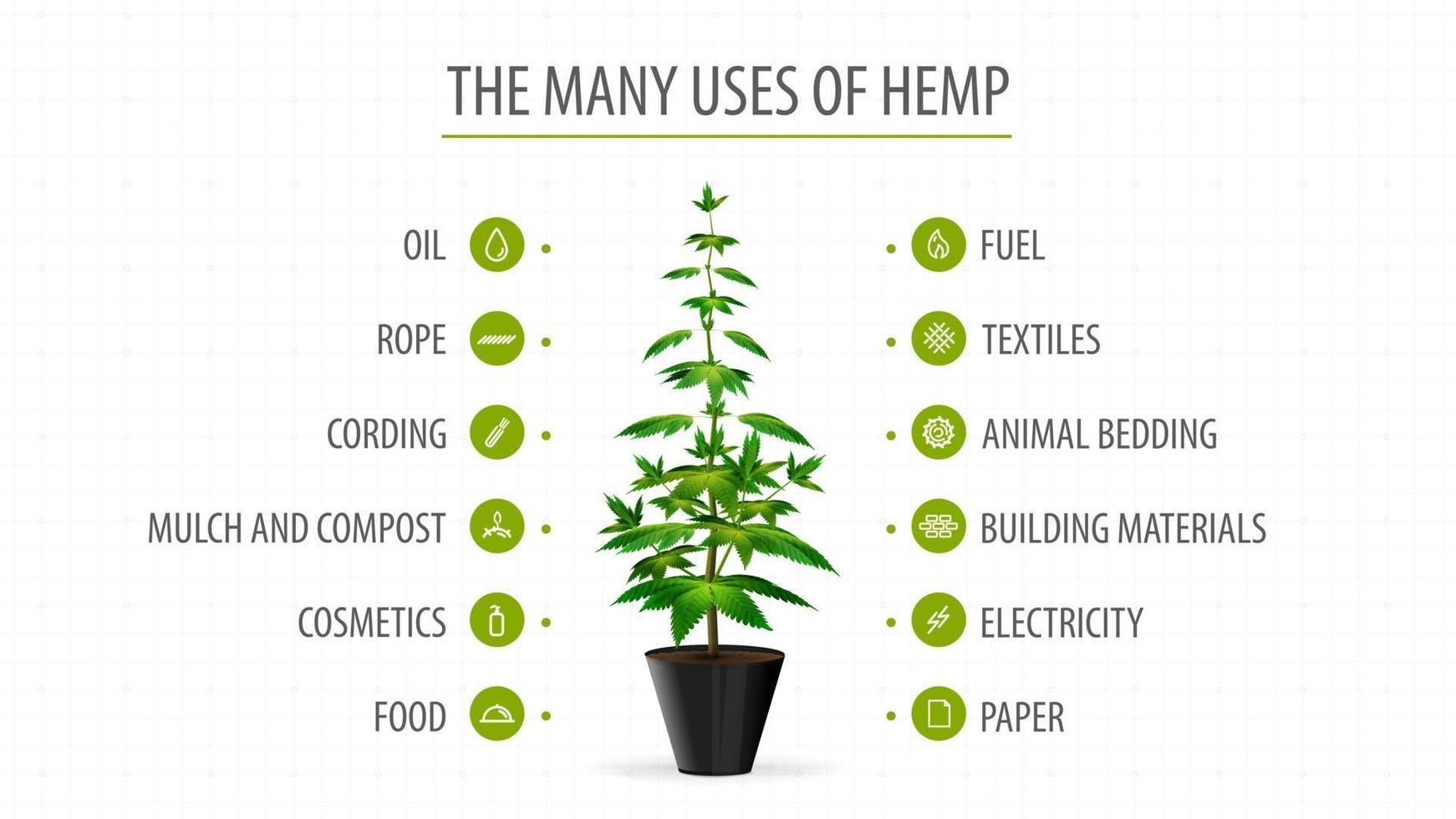 veel gebruik van hennep, witte banner met infographic van gebruik van cannabis en greenbush van cannabisplant vector