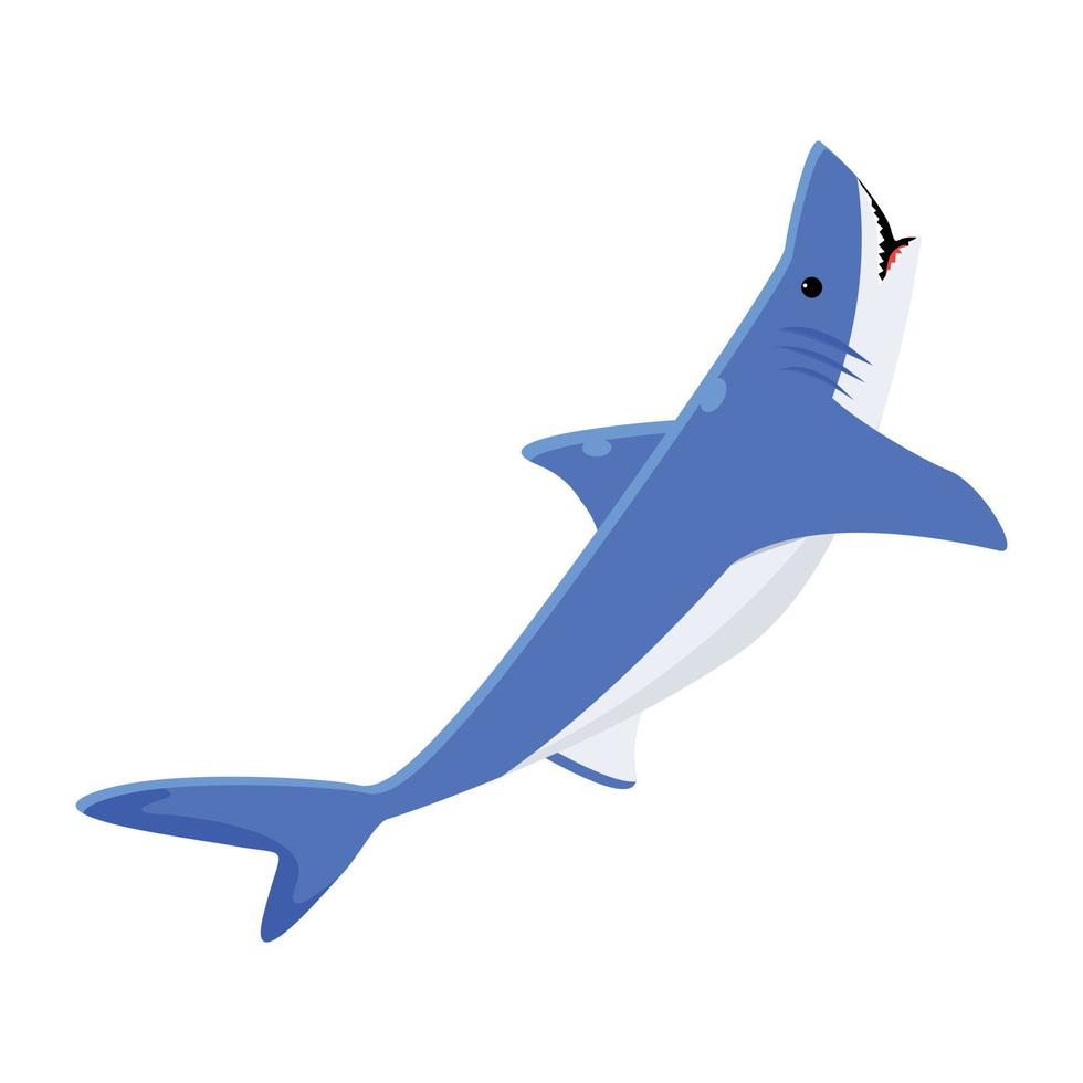 modieus elasmobranch vis vector