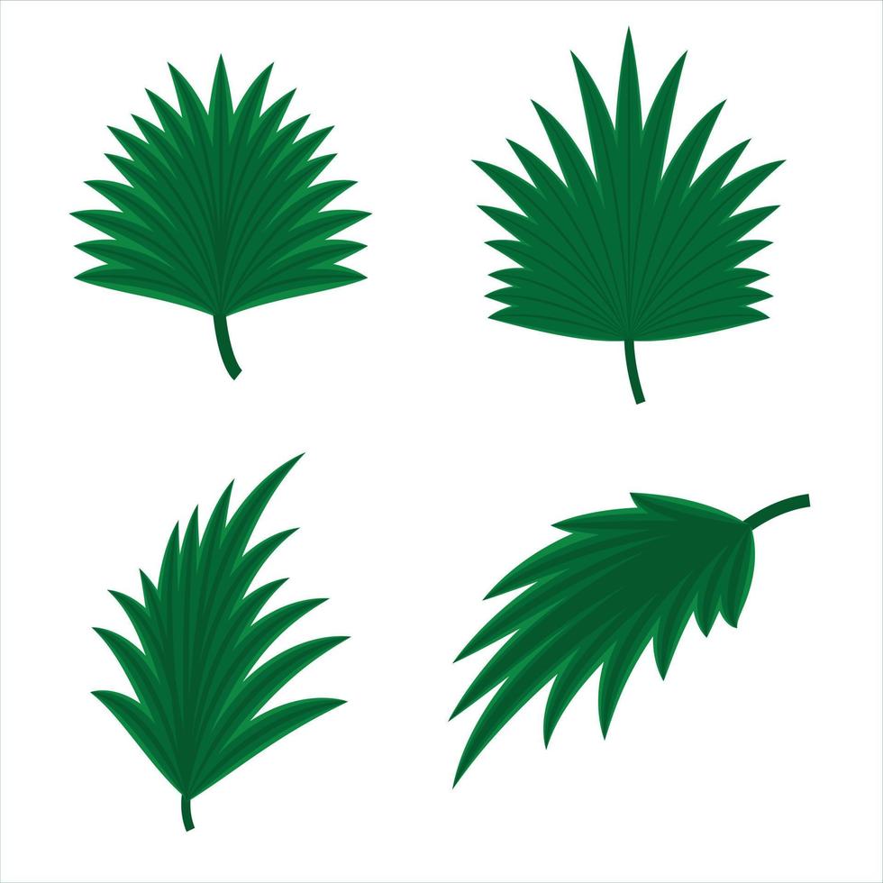 monstera blad tropisch blad reeks palm blad vector