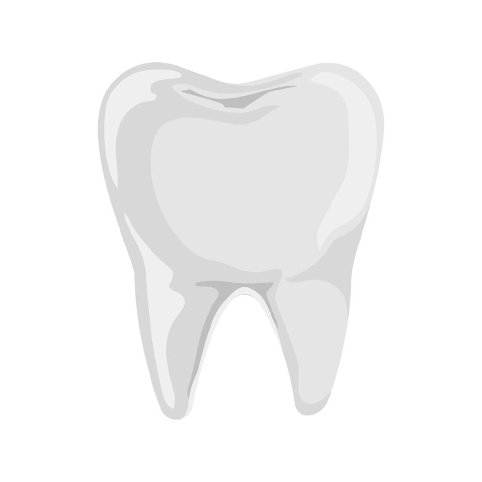 wit tand. tandheelkundig Gezondheid en hygiëne. vlak vector illustratie geïsoleerd Aan wit.