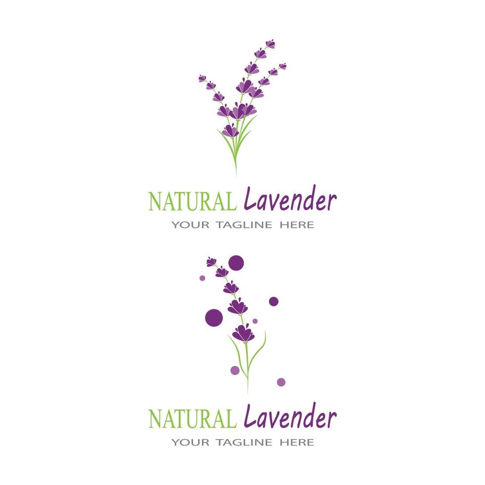 lavendel logo sjabloon vector symbool natuur