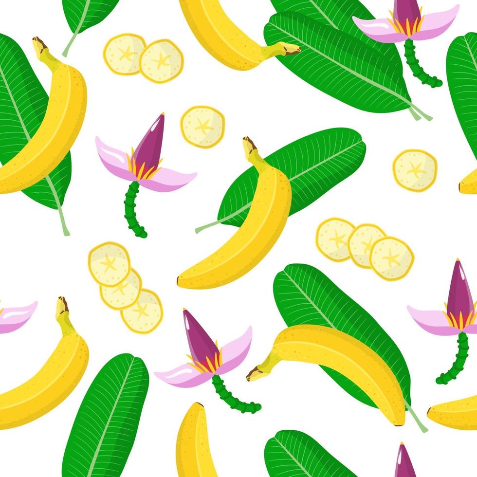 vector cartoon naadloze patroon met banaan exotisch fruit, bloemen en bladeren op witte achtergrond