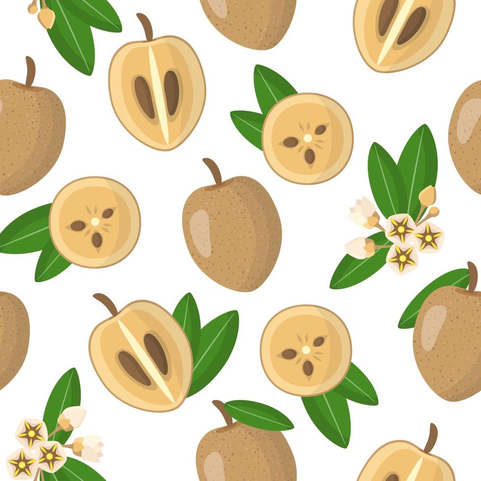 vector cartoon naadloze patroon met manilkara zapota of sapodilla exotisch fruit, bloemen en bladeren op witte achtergrond