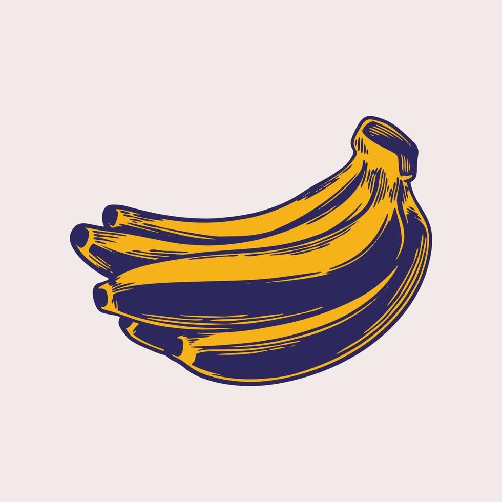 banaan hand getekend vintage gravure. geel fruit, een tros bananen. tropisch fruit, bananensnack of vegetarisch voedingsthema in geïsoleerde retro schetsen. vector illustratie art