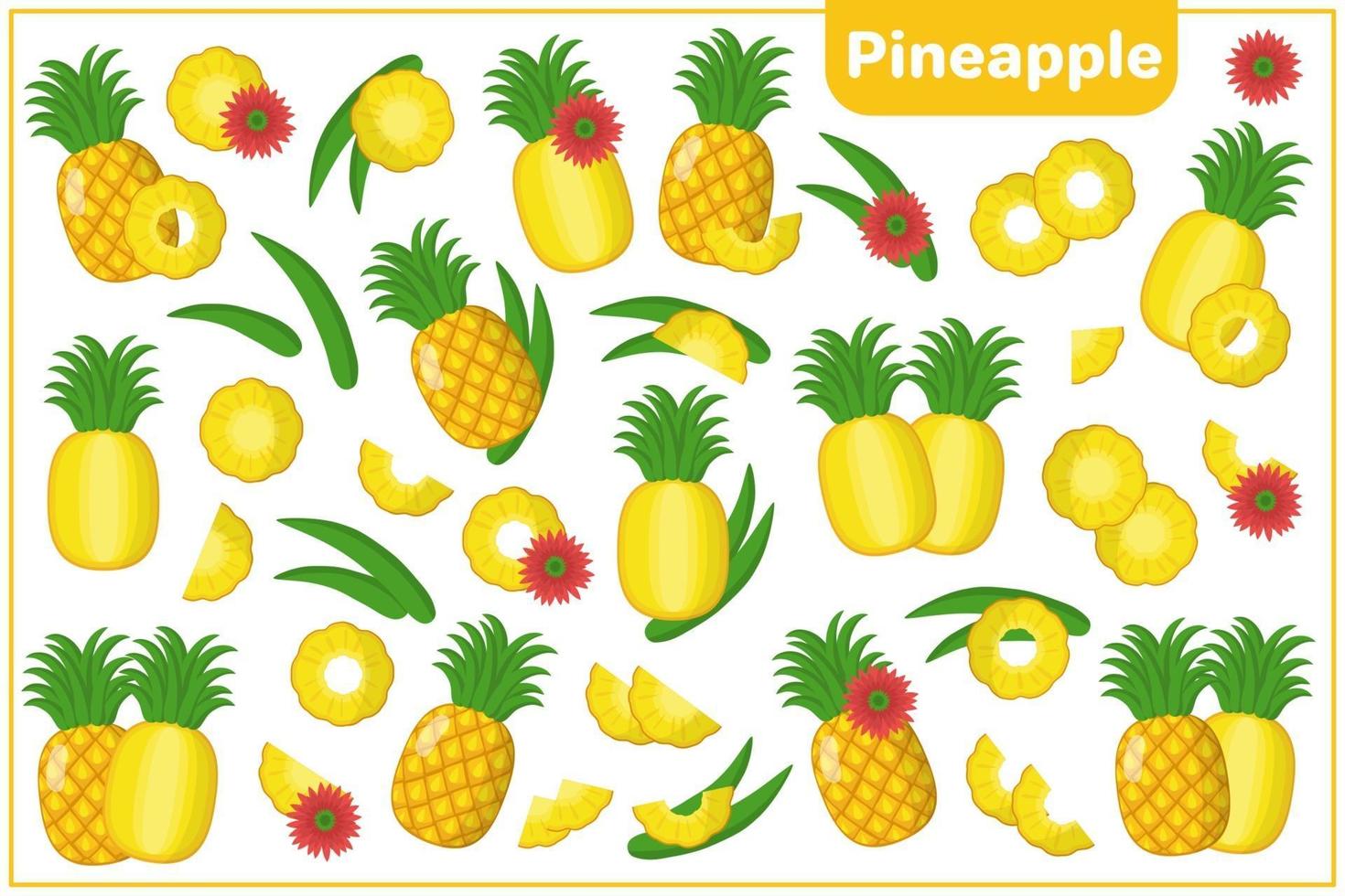set van cartoon vectorillustraties met ananas exotisch fruit, bloemen en bladeren geïsoleerd op een witte achtergrond vector