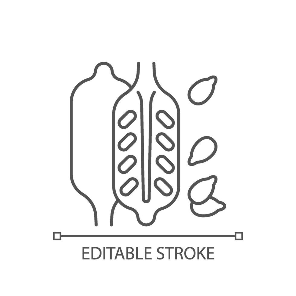 sesam lineaire pictogram vector