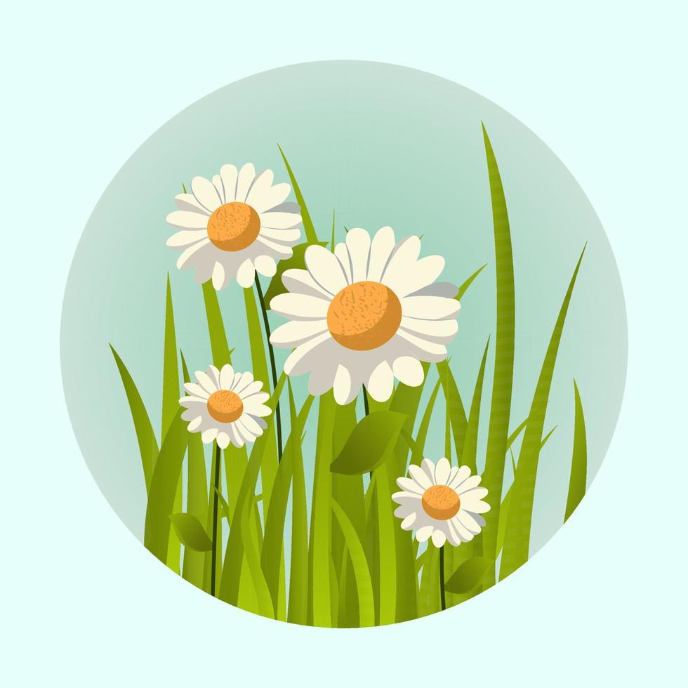 madeliefje bloemen met gras Aan cyaan achtergrond en kopiëren ruimte. vector