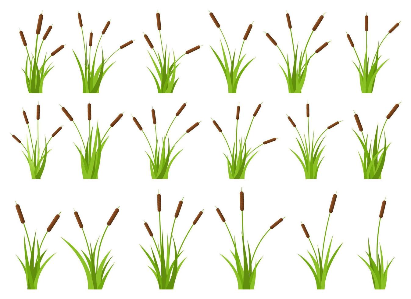 gras met cattail vector ontwerp illustratie geïsoleerd Aan wit achtergrond