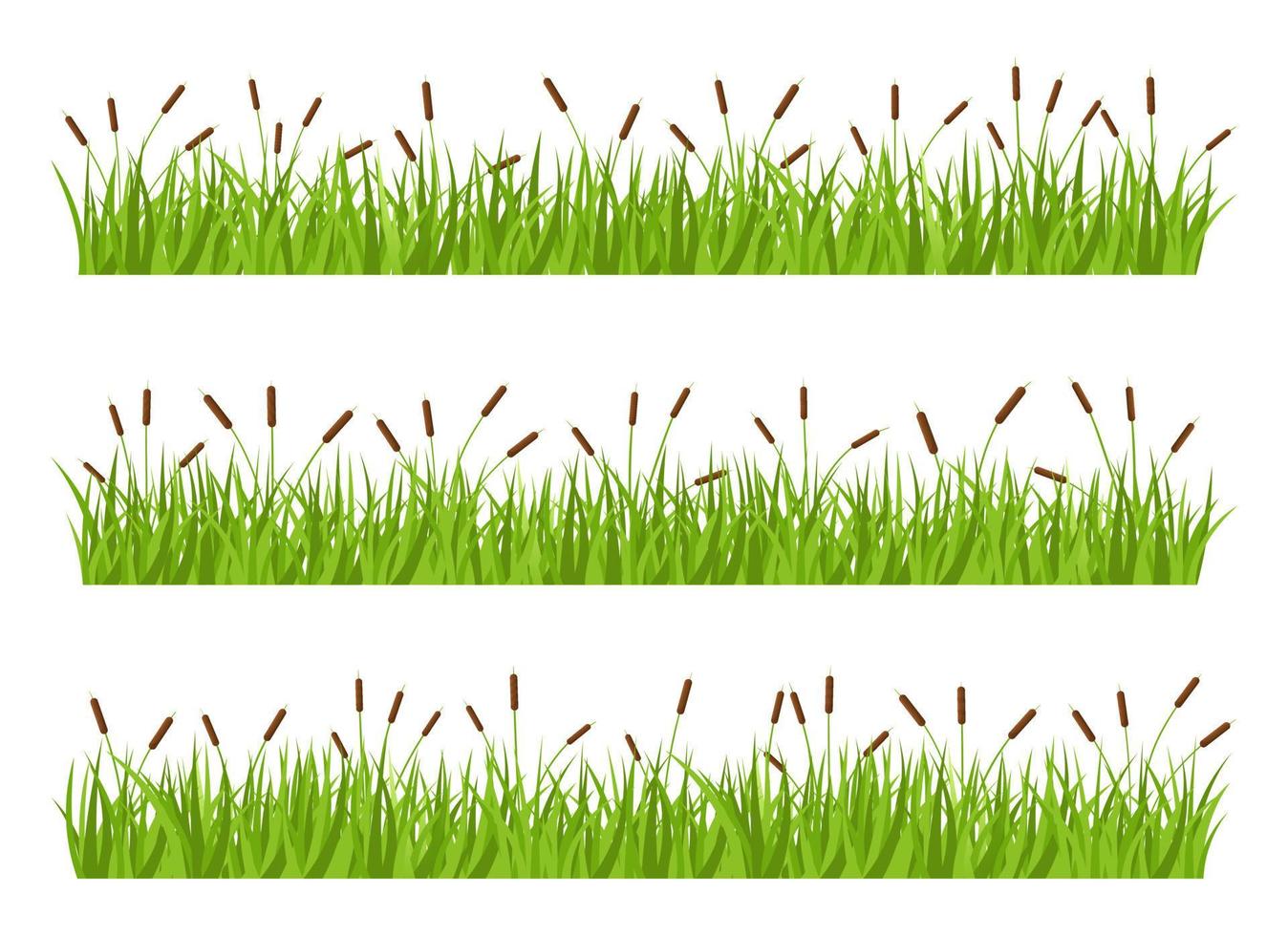 gras met cattail vector ontwerp illustratie geïsoleerd Aan wit achtergrond