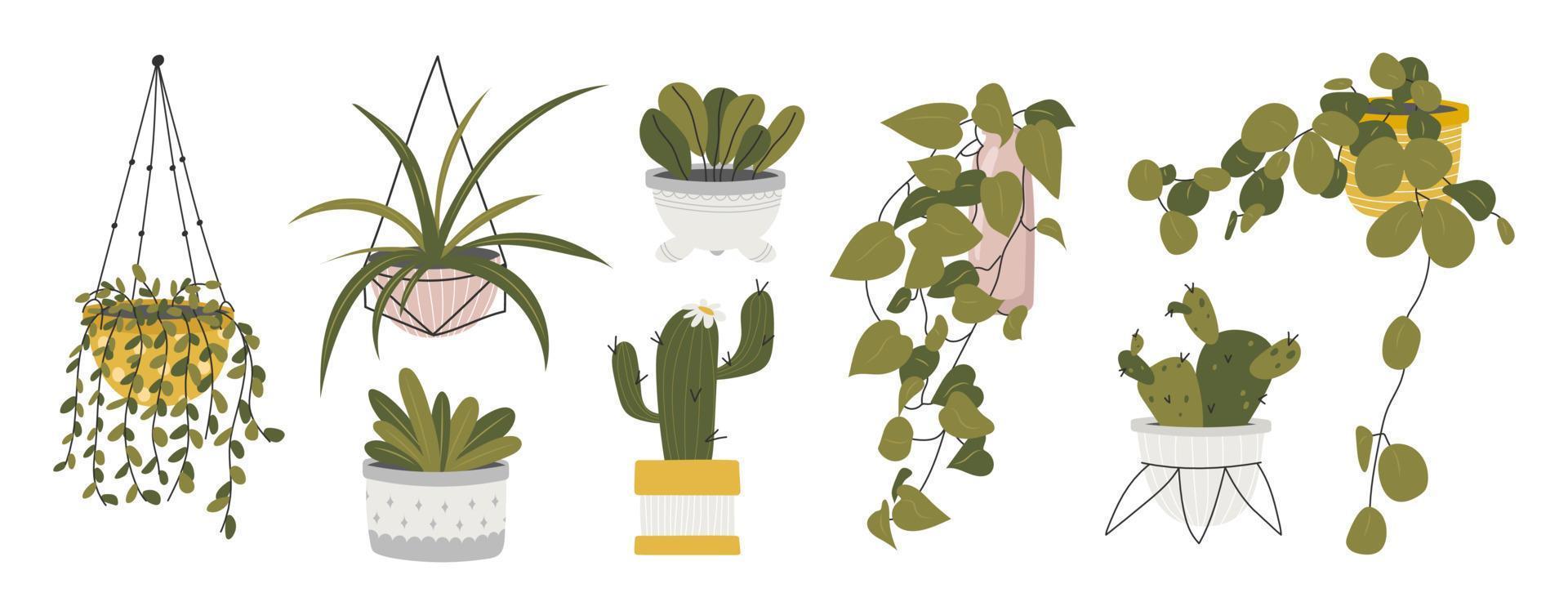 reeks van verschillend stickers van binnen- planten in bloem potten. exotisch planten, monstera en andere huis decoratief bloemen. vector voorraad illustratie. hand getekend stijl. stickers voor dagboek en notebook.