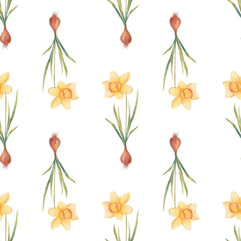 waterverf botanisch realistisch bloemen patroon met narcis. helder geel gele narcis Aan een wit achtergrond. natuurlijk en levendig herhaald afdrukken voor textiel, behang. voorjaar bloemen vector