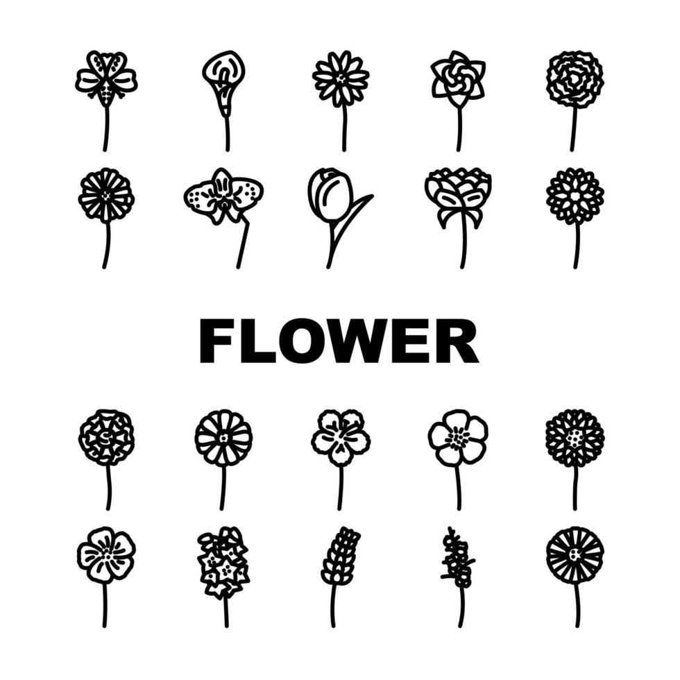 bloem voorjaar bloemen natuur pictogrammen reeks vector