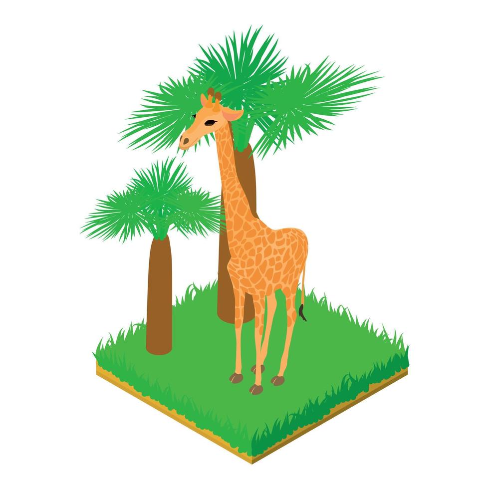 groot giraffe icoon isometrische vector. giraffe dier staand in groen gras icoon vector