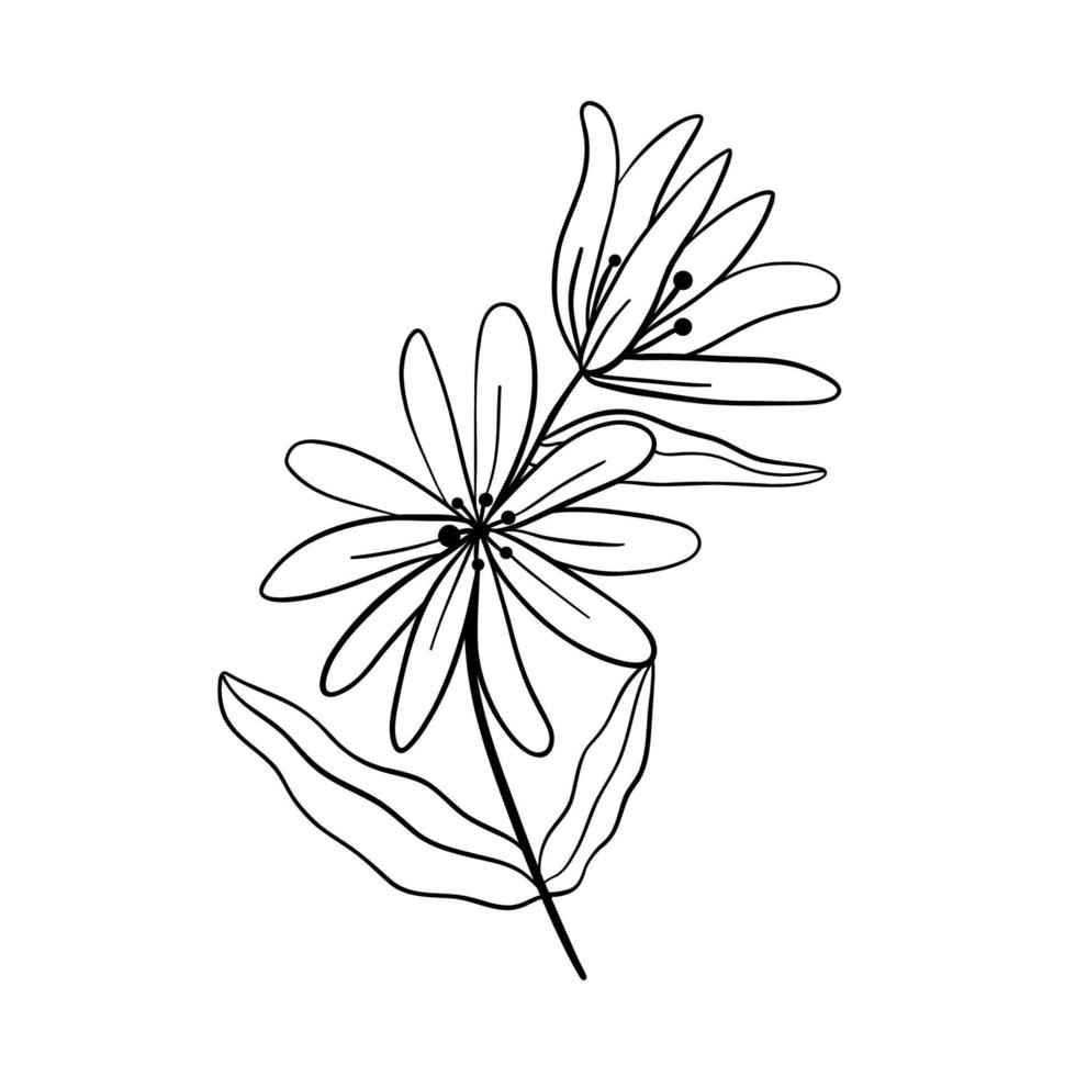 zwarte silhouetten van gras, bloemen en kruiden geïsoleerd op een witte achtergrond. hand getrokken schets bloemen en insecten. vector