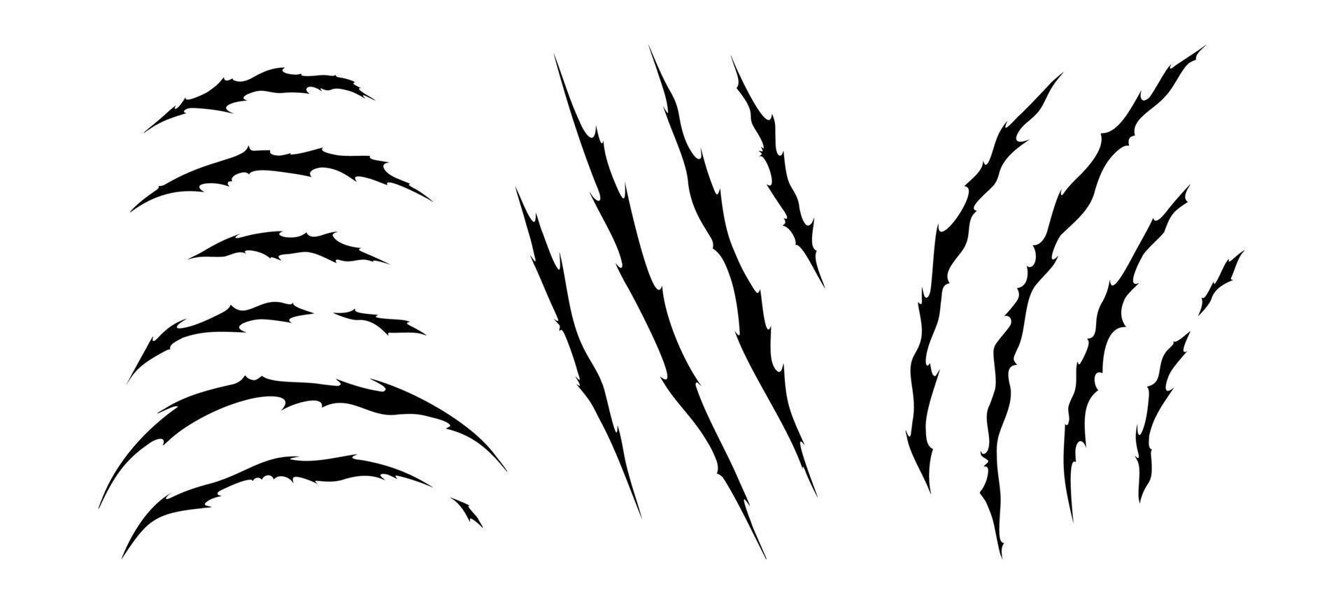 klauw krassen van wild dier. reeks met kat krassen merken geïsoleerd in wit achtergrond. vector illustratie