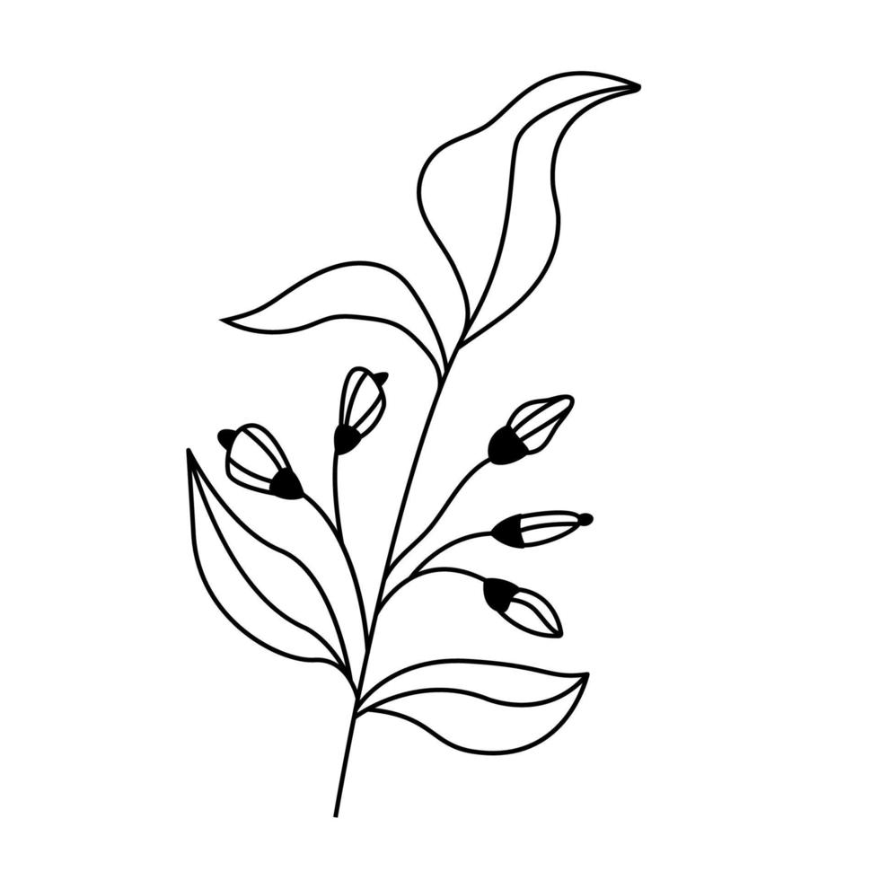 zwart vector hand getekend bloemen en plantkunde elementen. herfst.