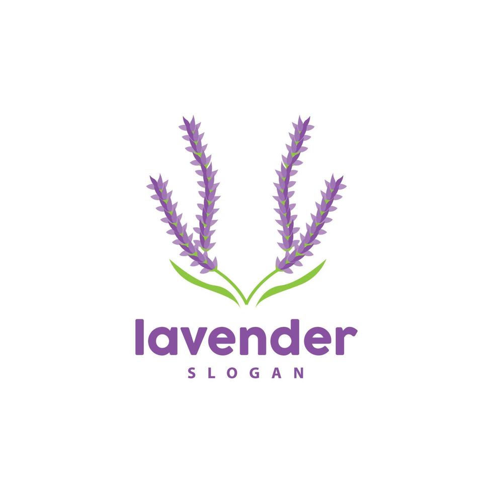 lavendel logo, gemakkelijk elegant Purper bloem fabriek vector, groet kaart ontwerp, banier, bloem ornament, lavendel hand- getrokken bruiloft, icoon symbool illustratie vector