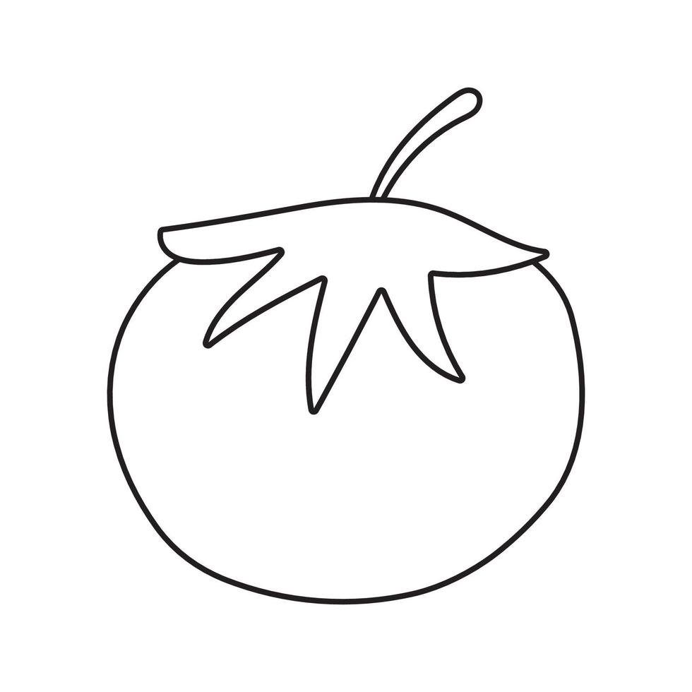 tomaat tekening vlak illustratie Aan wit achtergrond. vector grafiek ontwerp