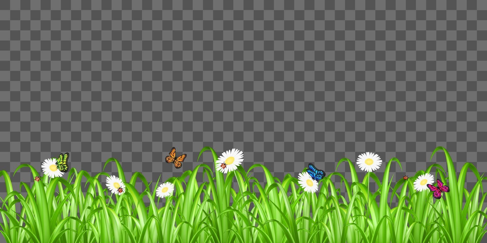 gras, bloem en vlinder op achtergrond vector