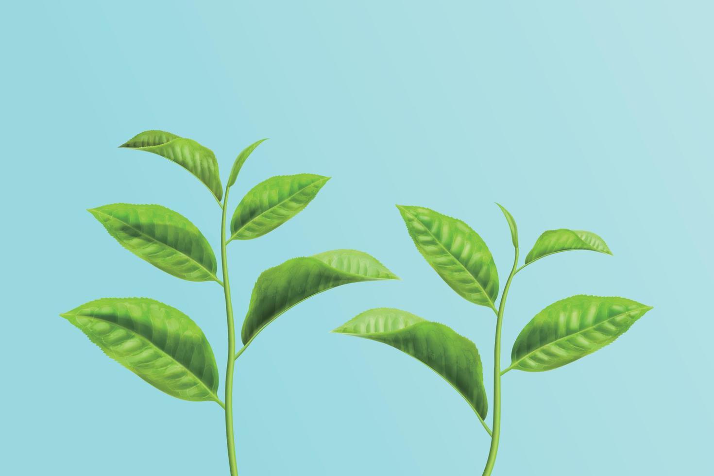 vers groen thee takjes geïsoleerd Aan lucht blauw achtergrond, element voor advertentie, 3d illustratie vector