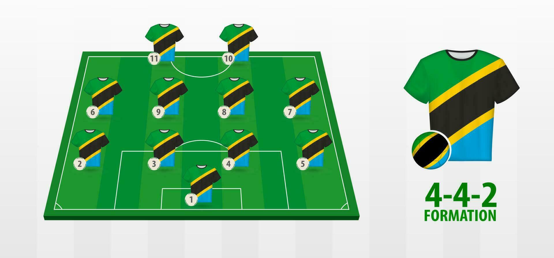 Tanzania nationaal Amerikaans voetbal team vorming Aan Amerikaans voetbal veld. vector