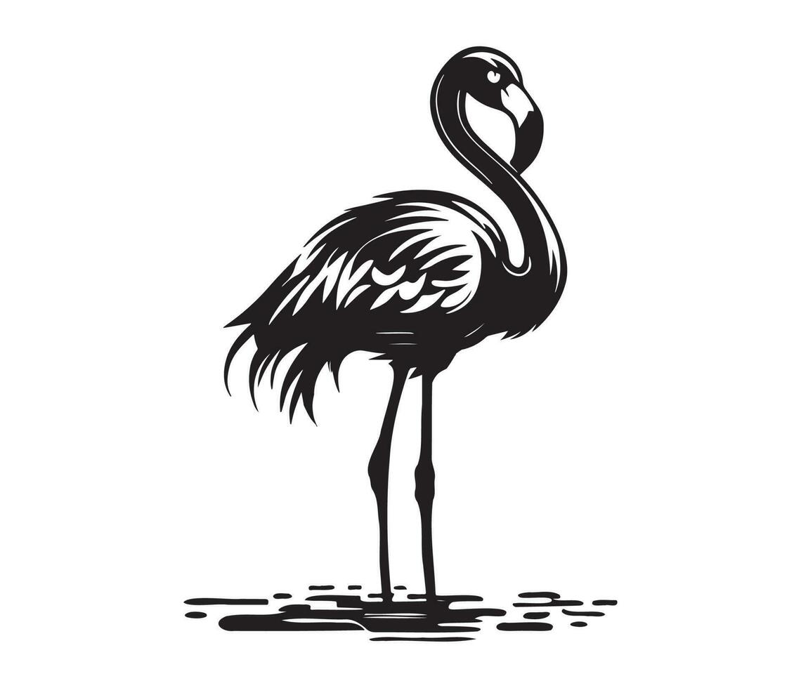 flamingo, silhouetten flamingo, zwart en wit flamingo vector