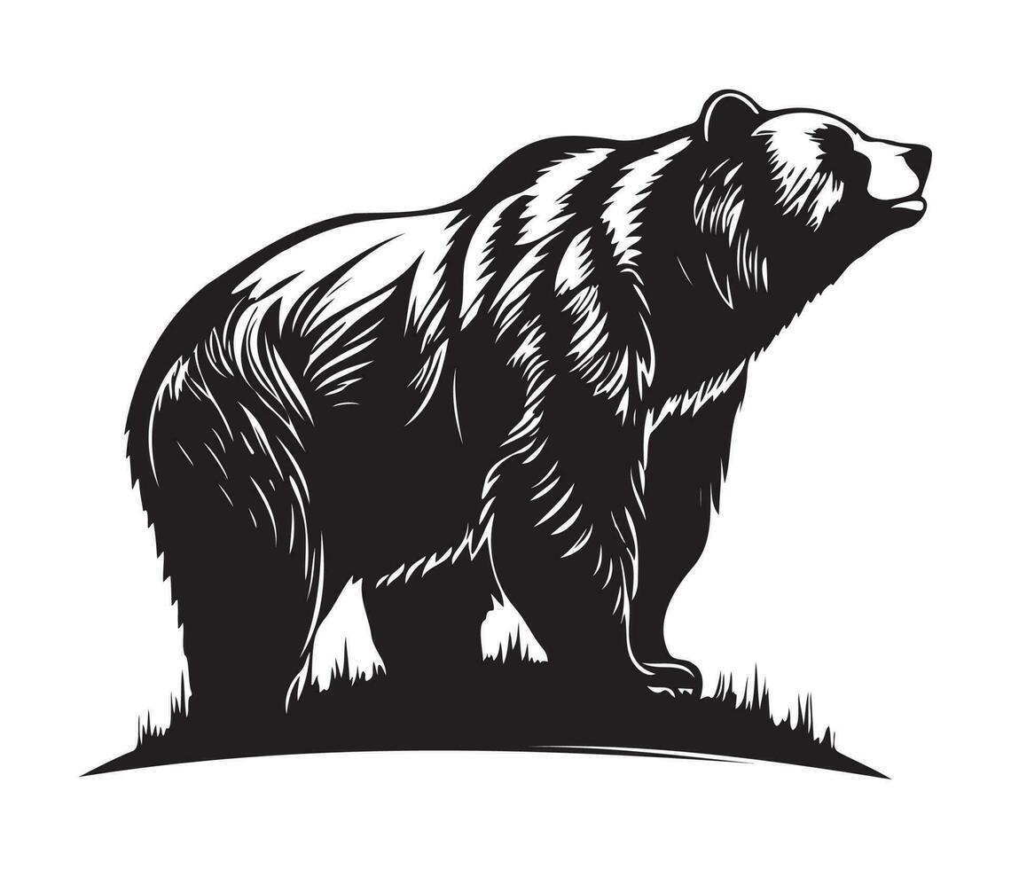 grizzly beer gezicht, silhouetten grizzly beer gezicht, zwart en wit grizzly beer vector