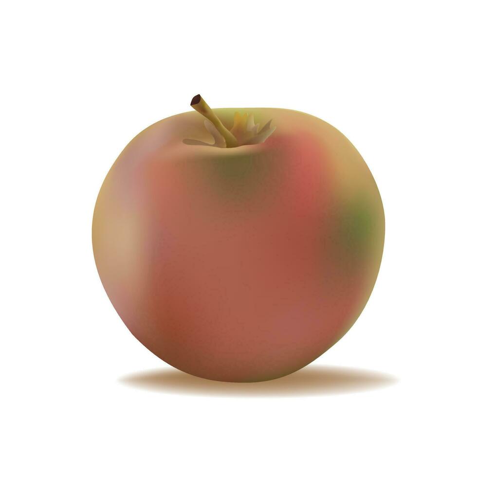 3d roze groen appel fruit vector illustratie.