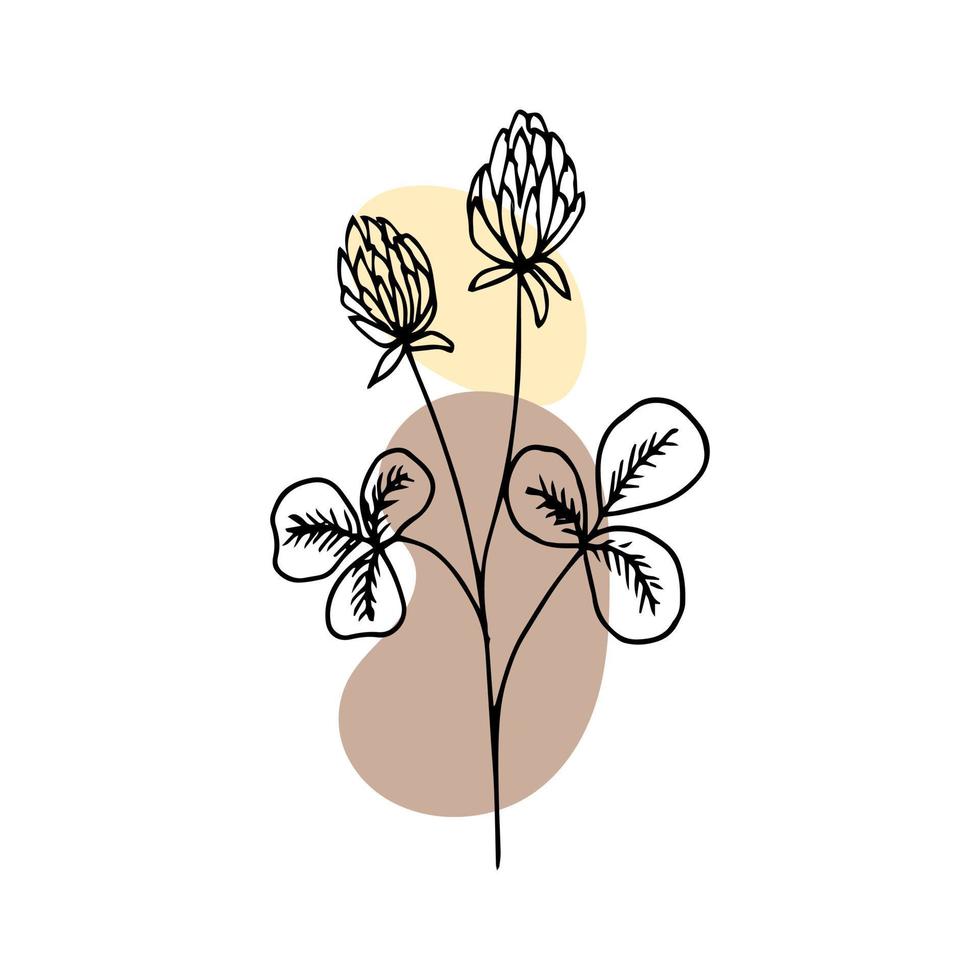 hand- getrokken schets bloem in tekening stijl met abstract kleur spatten toegevoegd. illustratie, vector