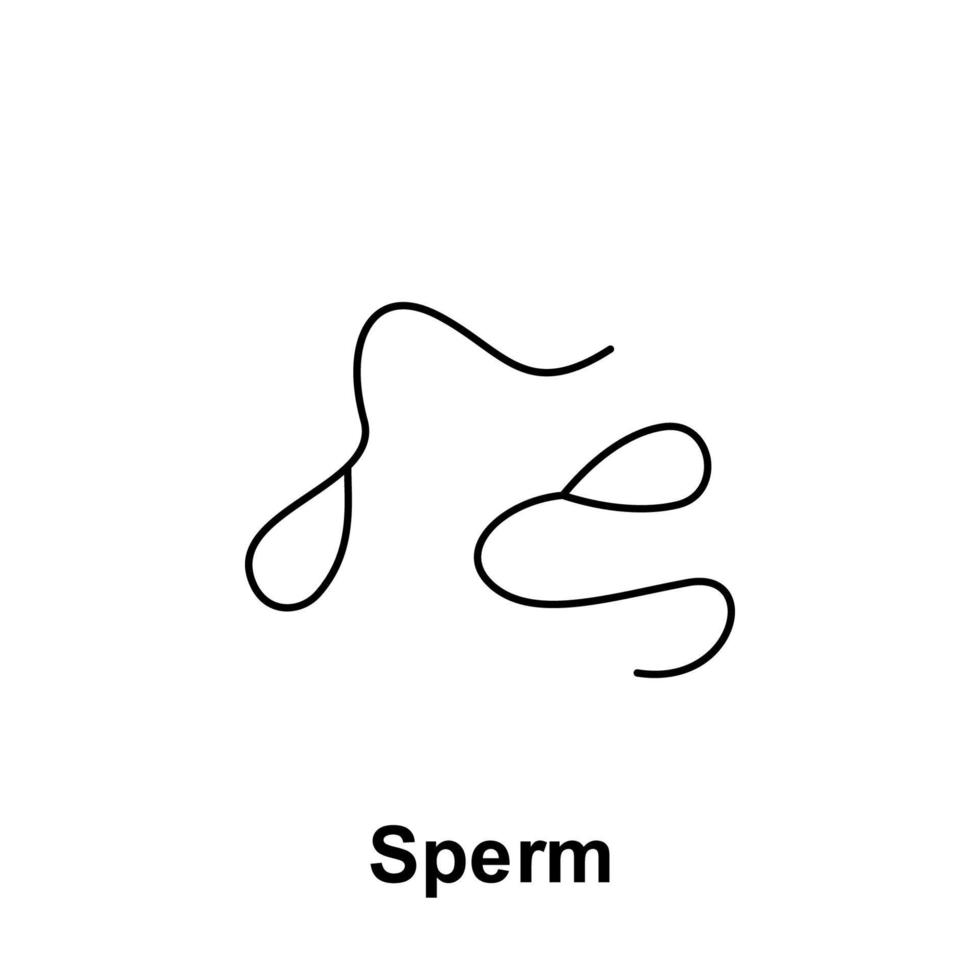 sperma, orgaan vector icoon illustratie