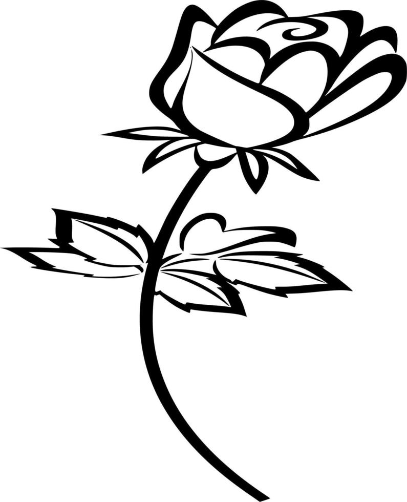 vector silhouet van roos Aan wit achtergrond